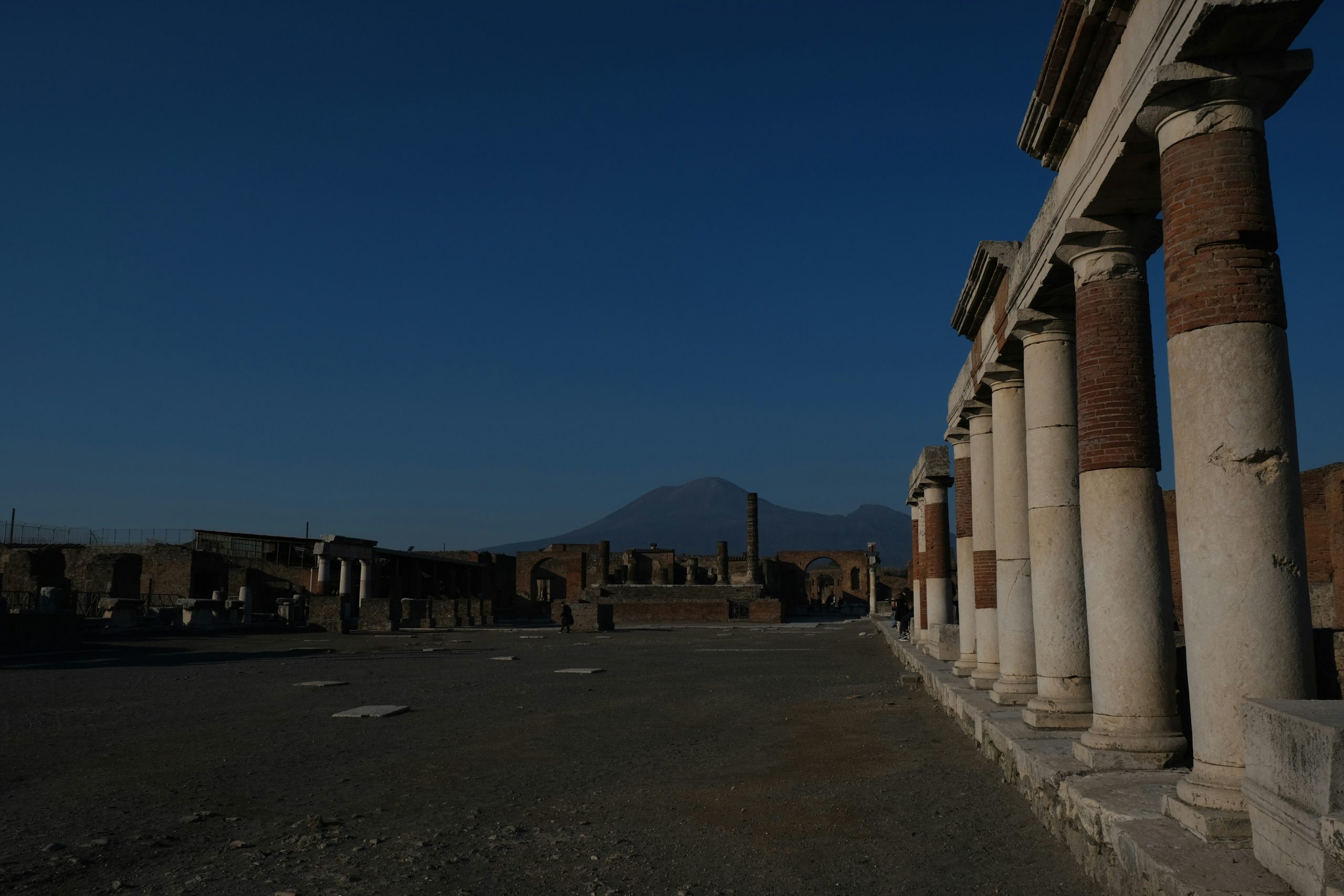 Vesuvius, Herculaneum & Pompeii