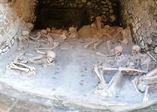 Skeletons in the archeological park
